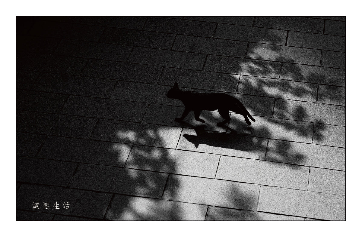 邱勤庭 -《閒閒罔哺豆》- 進入甕仔城【 ZEISS Batis系列鏡 】