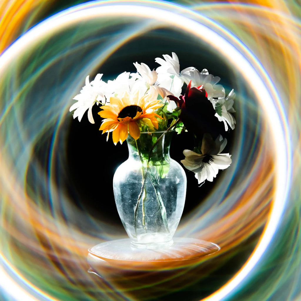 【上洛】美國 PRISM LENS FX - 環狀/微環狀 光暈濾鏡 HALO Prism FX Filter 特效濾鏡
