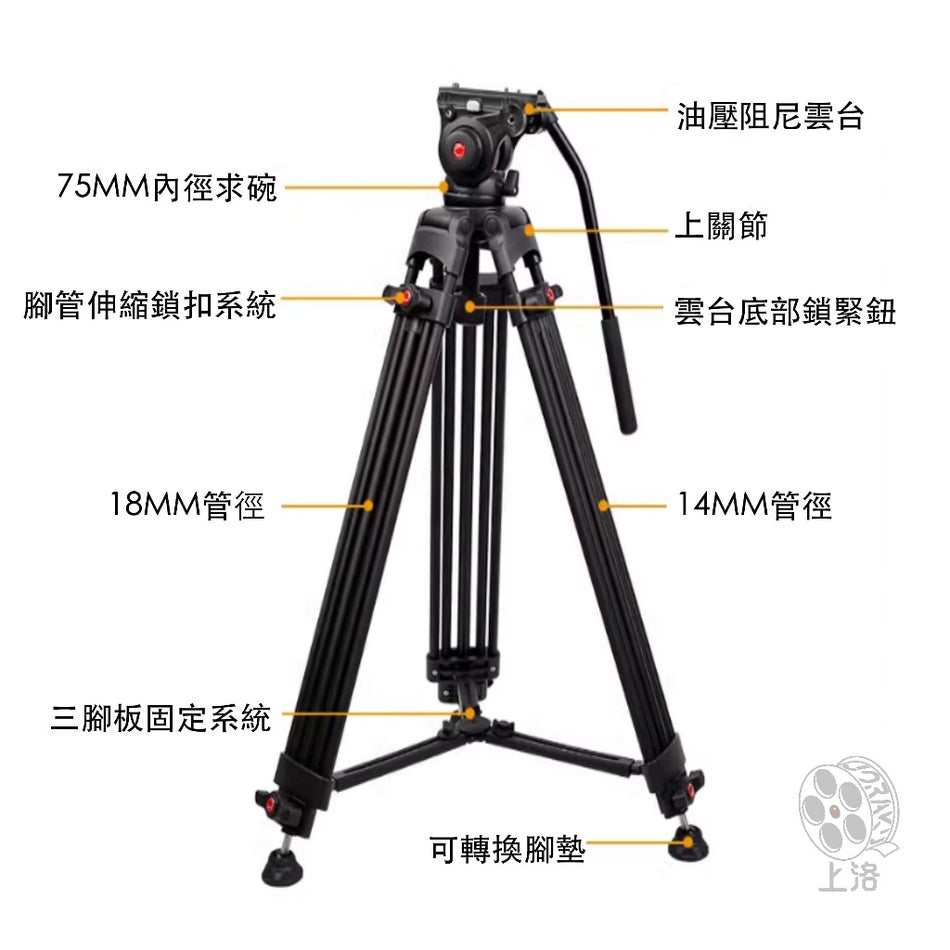 【上洛】Desview 百視悅 BG160 油壓雲台腳架 讀稿機 提詞機 攝影機 相機 三腳架 承重8KG
